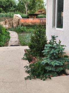 Nurdan Guest House - 9