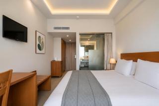Hotel Palmyra - 5
