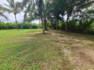 Aba Beach Home - 2