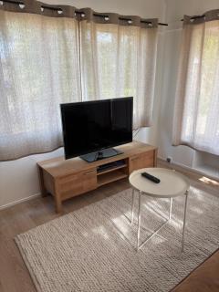Little Chestnut Gem - 8