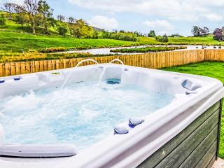 Holiday Home Easter Caiplich by Interhome - 6