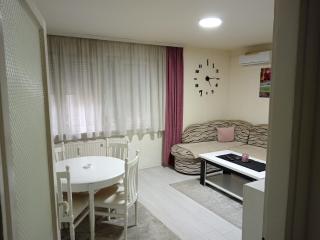 Apartman centar Iva - 5