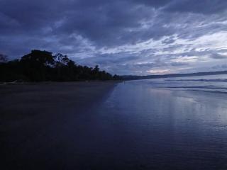 Jardines del eden - 8