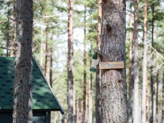 Chalet Beekeepers Bothy by Interhome - 2