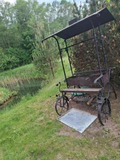 Forest House - 6