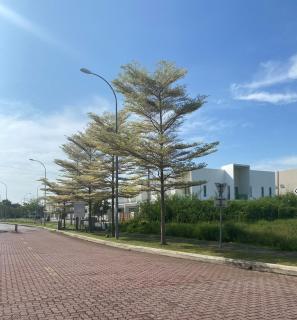758 Home Sweet Home Seremban 民宿 - 6