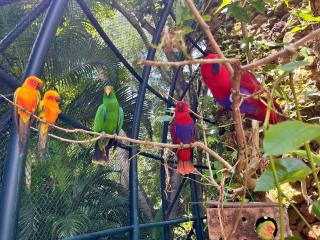 Baan Botanica - An Estate Beyond Imagination - 8