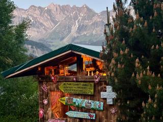 Cosy Swiss Chalet Chnorz Rooms - 9