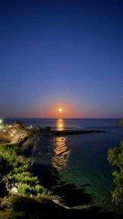 BAY DIVINO - 7