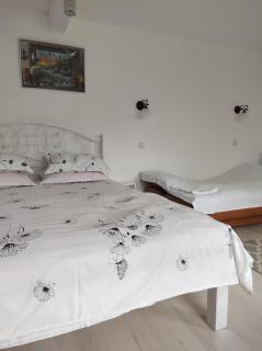 casa Olga 2 Mai - 2