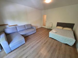Large Flats, Zurich City Center - SCHB - 9