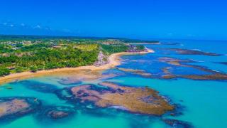 Bispo · Ap poucos passos da praia Muta(imobitemporada) - 8