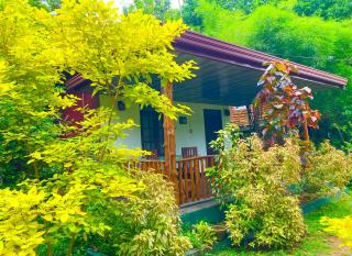 La Casa Safari Cottages & TREE HOUSE - 1