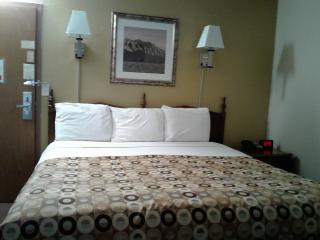 Red Carpet Inn Rochester - Rochester - 4