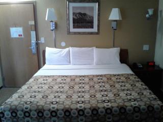Red Carpet Inn Rochester - Rochester - 7