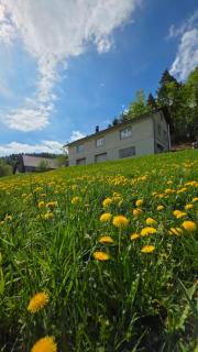 Ferienwohnung Zwölfer - 1