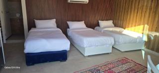 Desert Season Luxury Camp Wadi Rum Boutique Tents & Stargazing - 8
