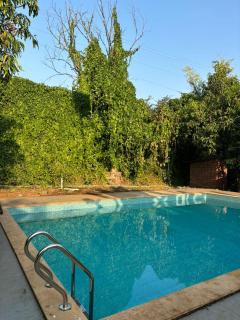 The Acre eco resort - 9