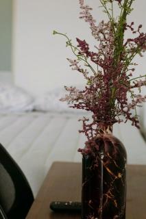 Encantador depa en casa con jardin privado - 1