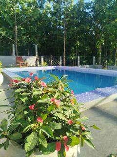 Teak Breeze Villa - 4