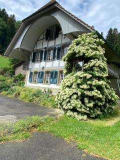 B&B tannen124 - 4