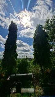 Farm Stay B&B at Neville Farms & Nature Retreats - 3