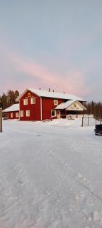 Finn-jann huskyfarm - 7