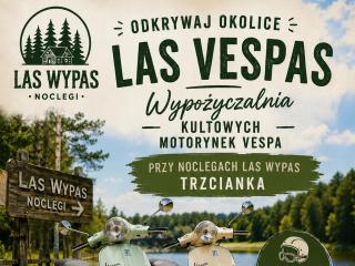 Noclegi "LAS WYPAS" Trzcianka - 9