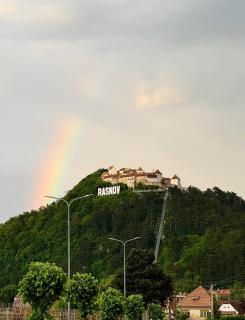Pensiunea Bergtal - 9