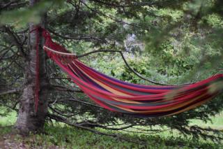 Nature Escape - Le Havre du Petit Lac Long - 2