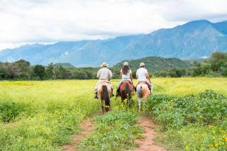Sentio Camps - Glamping y Experiencias en Salta - 9