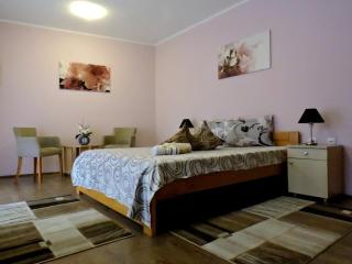 B&B Zmajevo Gnezdo 021 - Sremska Kamenica - 2
