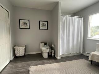 Modern One Bedroom Apartment - 1