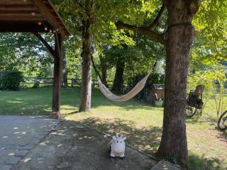 Lake house 20 min from Paris - 6