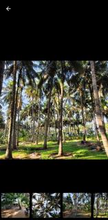 Village Homestay - 1