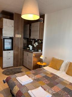 Mirabell Studio Bansko - Amazing view & fireplace - 8