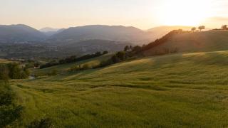 B&B La Tana - 3