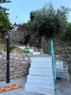 villa Cycas - 3