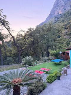 villa Cycas - 4