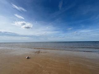 Seagulls Rest - Sheringham - Sheringham - 8