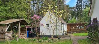 Tiny house im Wingster Forst - 0