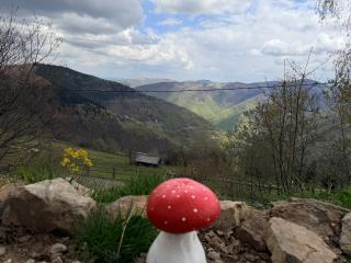 Wildcabinpanoramic Marisel - 9