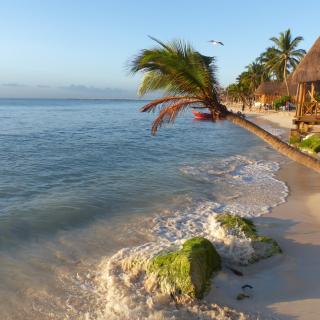 Lilas del Mar Apartments - Playa del Carmen - 8