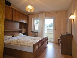 Three-room apartment close to downtown Schwetzingen - 1