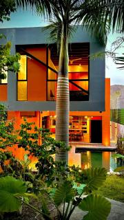 Beautiful private villa with an ecological pool - 0