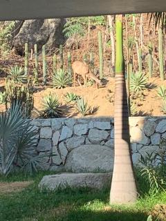 Beautiful private villa with an ecological pool - 4