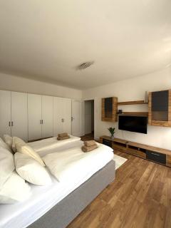 New apartment in the city center - 2