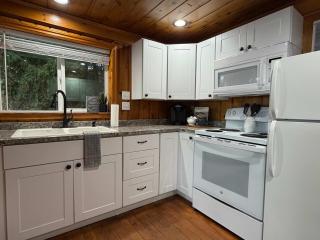 Lakefront Cabin Dock Kayaks & Fire Pit - 4