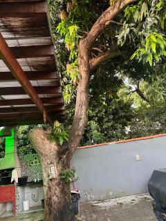 casa temporanda em nobres - 7