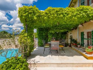Luxury villa with a swimming pool Trget, Rasa - 7247 - 2